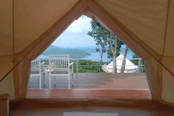 Homepage