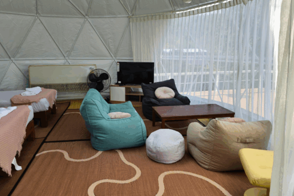 Homepage